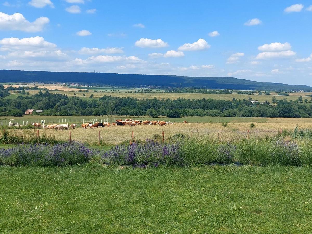 Panorama House Brdy Villa Příbram Exteriör bild