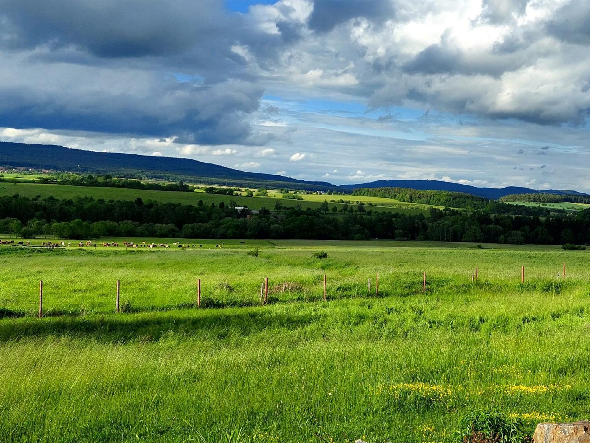 Panorama House Brdy Villa Příbram Exteriör bild